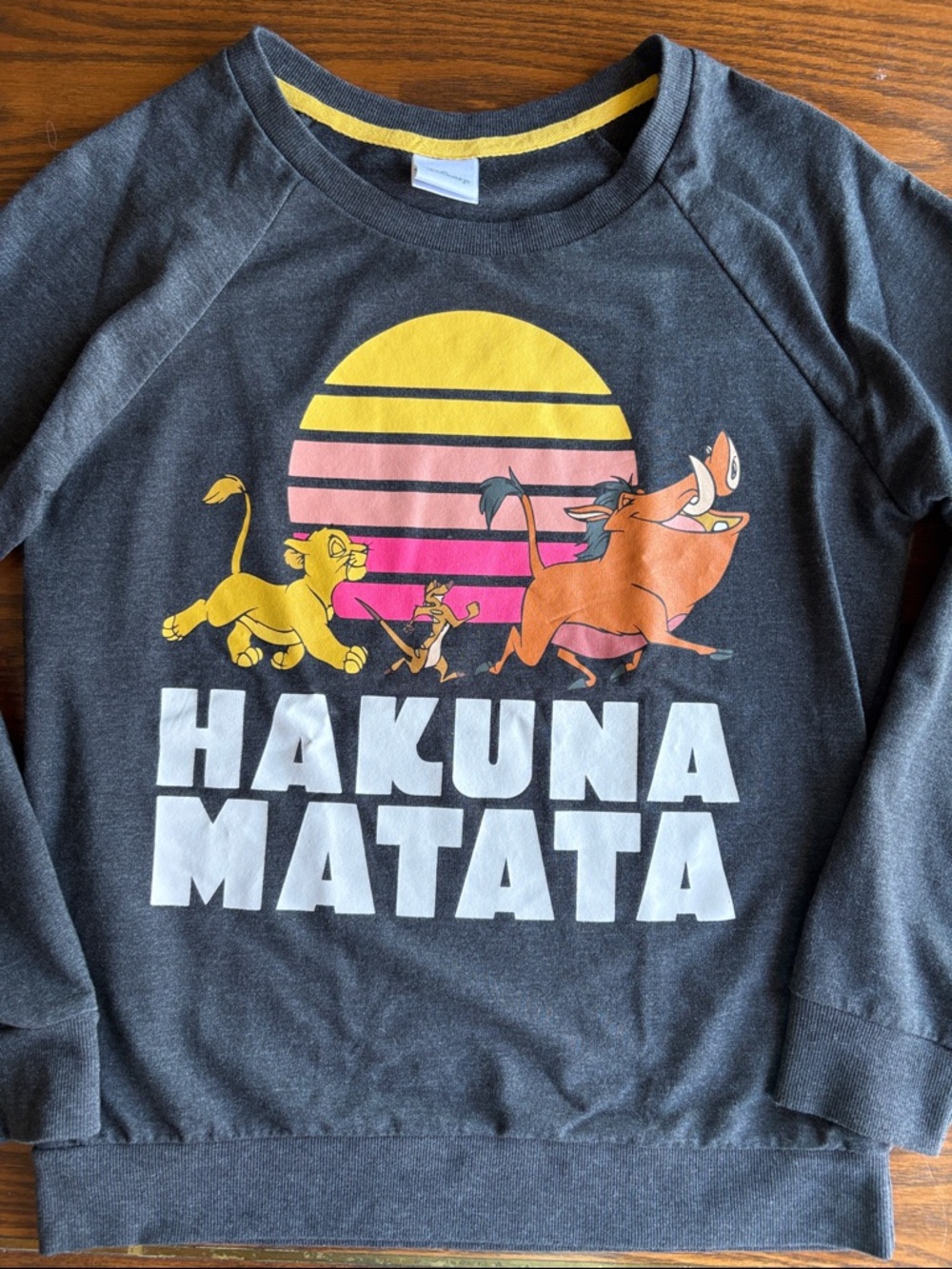 Disney Lion King  Hakuna Matata charcoal long sleeve jersey shirt EUC